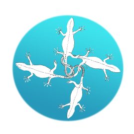 Four fish