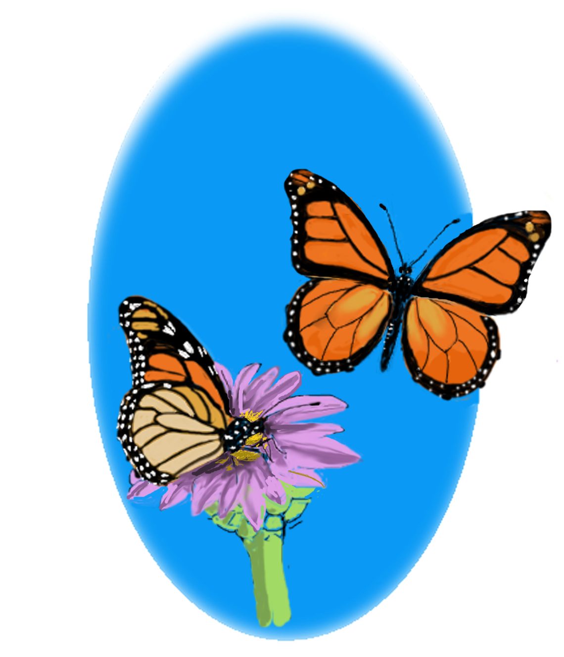 Monarch Butterflies